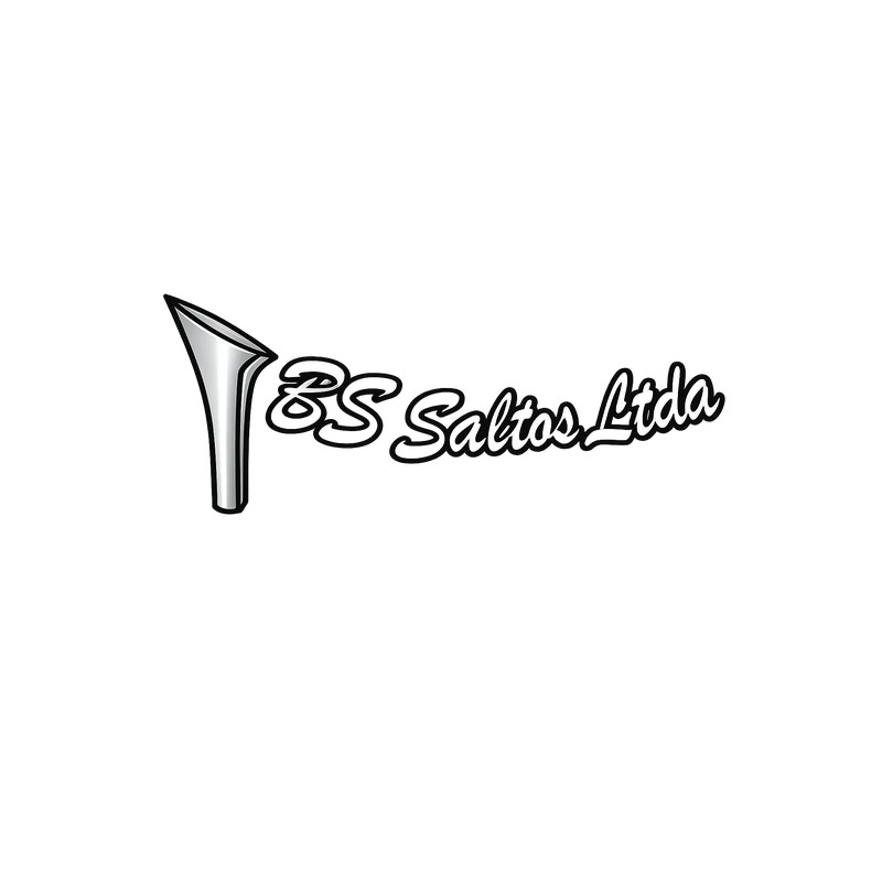 Logo BS Saltos