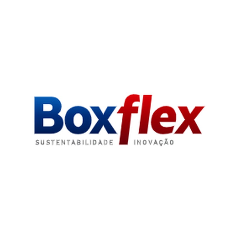 Logo BoxFlex